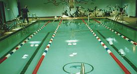 50-Year-Old Basement Pool